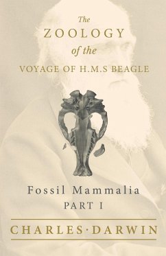 Fossil Mammalia - Part I - The Zoology of the Voyage of H.M.S Beagle ; Under the Command of Captain Fitzroy - During the Years 1832 to 1836