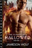 Hallowed (The Elementals, #1) (eBook, ePUB)
