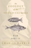 Fish - Part IV - The Zoology of the Voyage of H.M.S Beagle ; Under the Command of Captain Fitzroy - During the Years 1832 to 1836