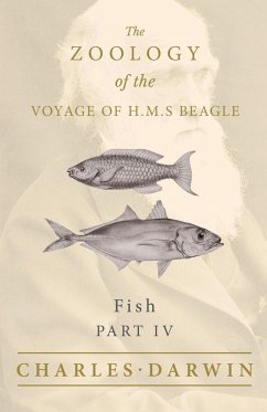 Fish - Part IV - The Zoology of the Voyage of H.M.S Beagle; Under the Command of Captain Fitzroy - During the Years 1832 to 1836 - Darwin, Charles; Jenyns, Leonard