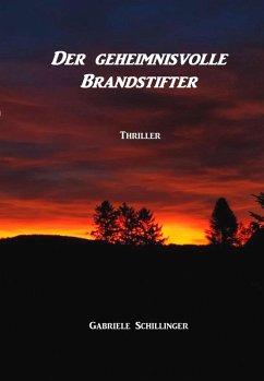 Der geheimnisvolle Brandstifter (eBook, ePUB) - Schillinger, Gabriele