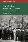 Mexican Revolution's Wake (eBook, PDF)