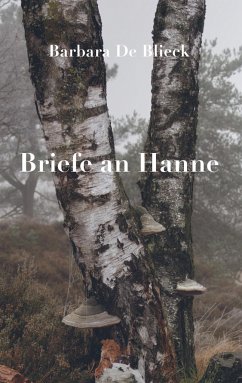 Briefe an Hanne - De Blieck, Barbara