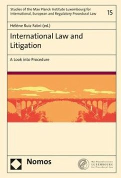 International Law and Litigation