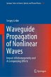 Waveguide Propagation of Nonlinear Waves - Bild 1