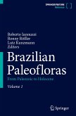 Brazilian Paleofloras