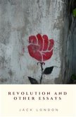 Revolution and Other Essays (eBook, ePUB)