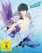 Free! - Dive to the Future - 3. Staffel... - Bild 1