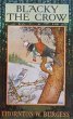 Blacky the Crow (eBook, ePUB) - Bild 1