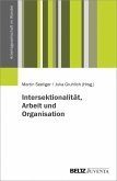 Intersektionalität, Arbeit und Organisation (eBook, PDF)