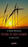 Feuer in den Dünen (eBook, ePUB)