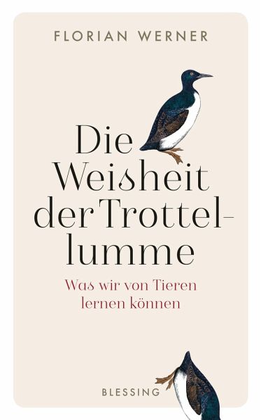 Die Weisheit der Trottellumme  - Werner, Florian