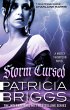Storm Cursed (eBook, ePUB) - Bild 1