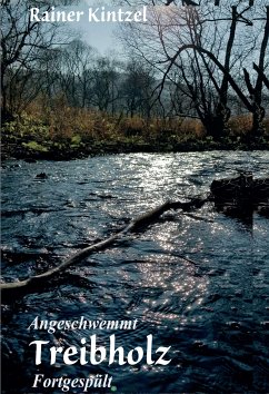 Treibholz (eBook, ePUB) - Kintzel, Rainer