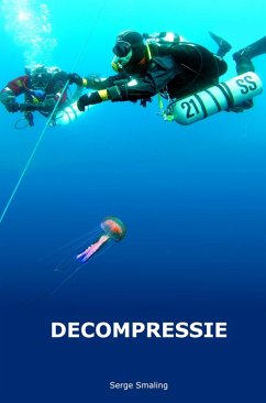 Decompressie (eBook, ePUB) - Smaling, Serge