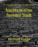 Nachts in einer fremden Stadt (eBook, ePUB)