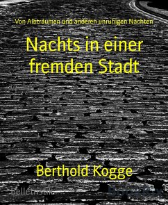 Nachts in einer fremden Stadt (eBook, ePUB) - Kogge, Berthold