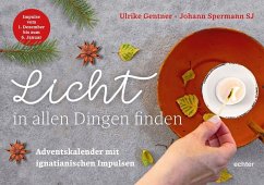 Licht in allen Dingen finden - Spermann, Johann;Gentner, Ulrike