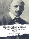 Darkwater Voices from Within the Veil (eBook, ePUB)