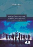 La protección del inversor en el programa de notas a medio plazo (eBook, PDF)