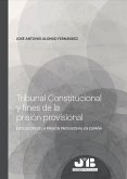 Tribunal Constitucional y fines de la prisión provisional (eBook, PDF)