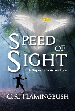 Speed of Sight (eBook, ePUB) - Flamingbush, C.R.