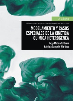 Cover Modelamiento y casos especiales de la cinética química heterogénea (eBook, ePUB)