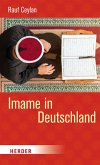 Imame in Deutschland (eBook, ePUB)