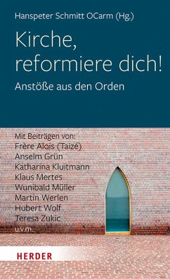 Kirche, reformiere dich! (eBook, PDF)