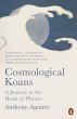 Cosmological Koans (eBook, ePUB) - Bild 1