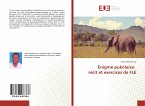 Enigme pukolaise: récit et exercices de FLE