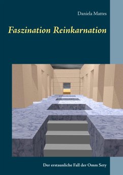 Faszination Reinkarnation (eBook, ePUB) - Mattes, Daniela