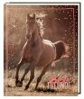 Freundebuch - I LOVE HORSES - Beste... - Bild 1
