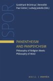 Panentheism and Panpsychism