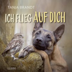 Ich flieg auf dich - Brandt, Tanja