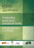 Problemática actual de los procesos de familia (eBook, PDF)