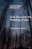 God, Soul and the Meaning of Life (eBook, ePUB)