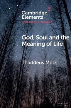God, Soul and the Meaning of Life (eBook, ePUB) - Metz, Thaddeus