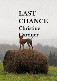 Cover Last Chance (eBook, ePUB)