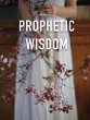 Prophetic Wisdom (eBook, ePUB) - Bild 1