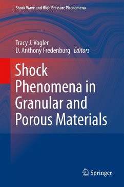Shock Phenomena in Granular and Porous Materials