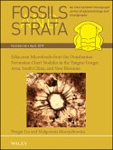 Ediacaran Microfossils from the Doushantuo Formation Chert Nodules in the Yangtze Gorges Area, South China, and New Biozones (eBook, ePUB)