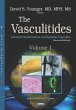 Vasculitides. Volume 1: General... - Bild 1