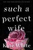 Such a Perfect Wife (eBook, ePUB)