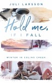 Hold me, if I fall (eBook, ePUB)