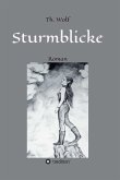 Sturmblicke (eBook, ePUB)