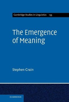 Cover Emergence of Meaning (eBook, ePUB)