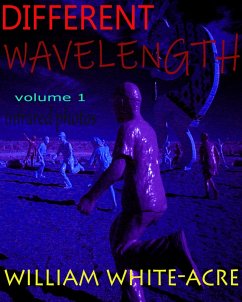 Cover Different Wavelength (eBook, ePUB)