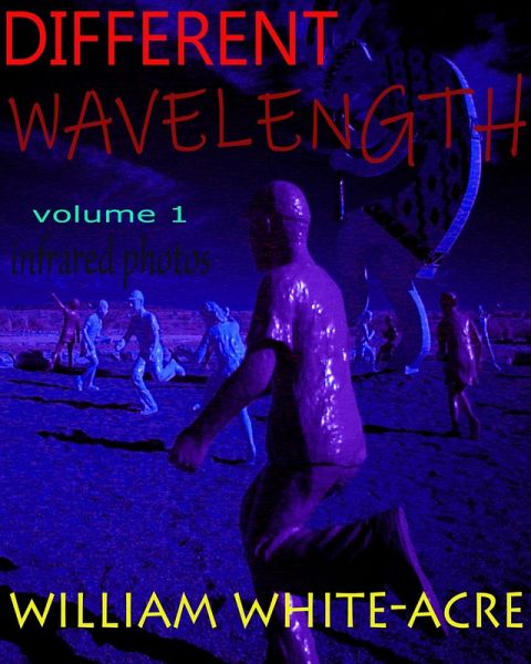 Different Wavelength (eBook, ePUB)