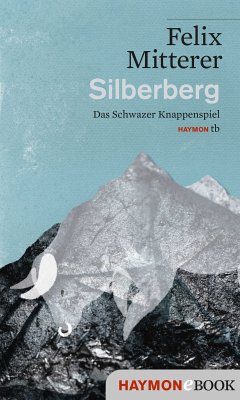 Silberberg (eBook, ePUB) - Mitterer, Felix